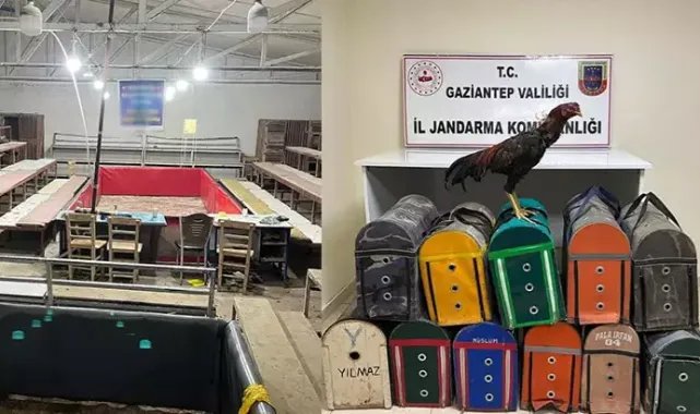 Horoz dövüştürüp bahis oynayan 26 kişiye 180 bin TL ceza