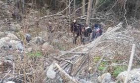 Kayıp olarak aranan gencin cesedi ormanda yarı gömülü halde bulundu