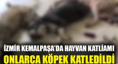 Kemalpaşa'da hayvan katliamı: Onlarca köpek katledildi