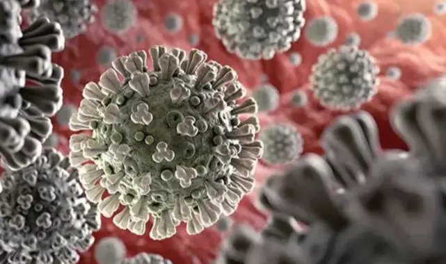 Prof. Dr. Özlü: Japonya’daki hastalık pandemi oluşturacak tehdit değil