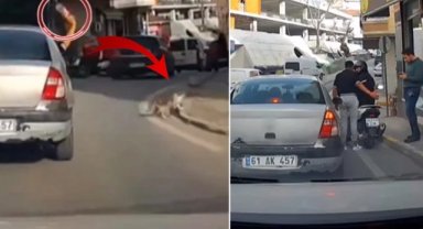 Seyir haindeki araçtan kedinin üzerine şişe atıldı