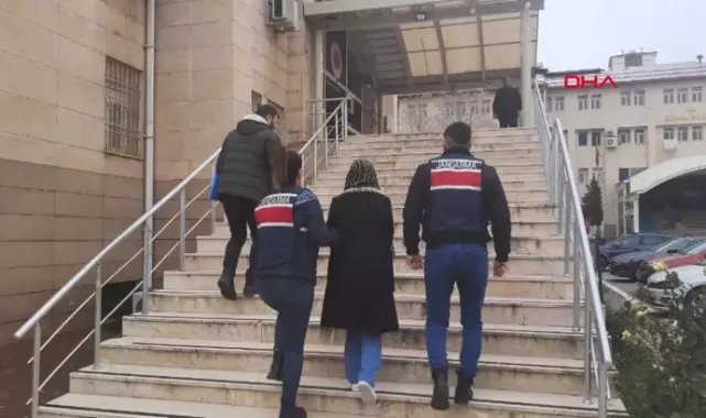 Şırnak'ta seçimlere müdahale için gönderilen PKK'lı terörist yakalandı