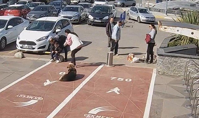 Zabıta'nın 'heimlich manevrası' çocuğun hayatını kurtardı