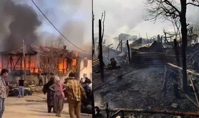 Bursa'da 3 ev ile 1 ahır yandı