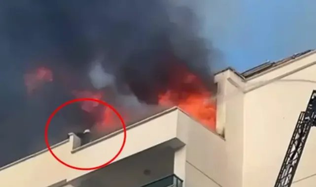Çatı yangınında alevler arasında kalan itfaiye eri, hortuma tutunarak inerken düştü