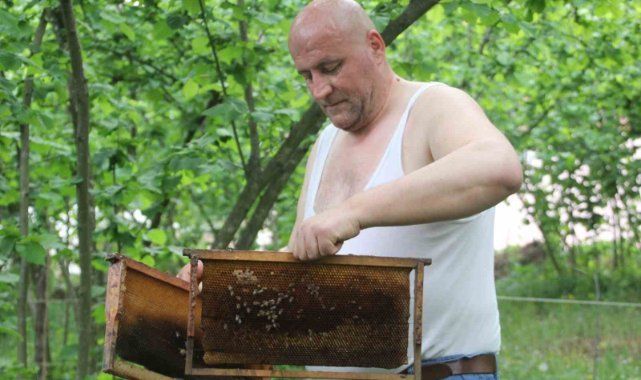 Çılgın arıcı: Arılara yarı çıplak ve eldivensiz müdahale ediyor