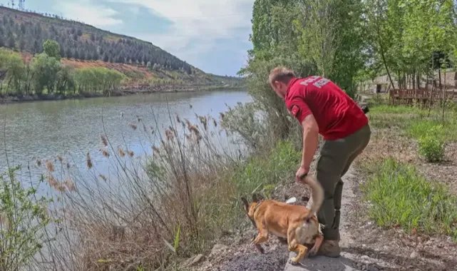'Hareketsiz erkek görüldü’ ihbarının yapıldığı Dicle Nehri'ndeki aramalara kadavra köpeği Boyka da katıldı