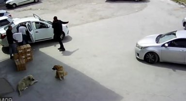 Kargo firması şubesine operasyonda 120 binden fazla hap ele geçirildi