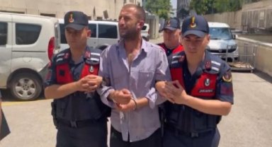 'Orman sevdalısıyım' demişti; orman yakmaktan 8 yıl 4 ay hapis cezası aldı