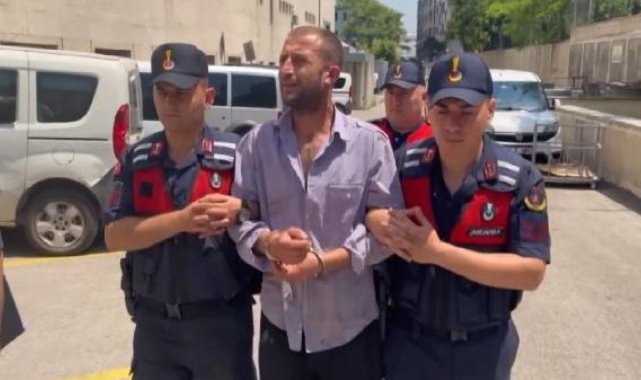 'Orman sevdalısıyım' demişti; orman yakmaktan 8 yıl 4 ay hapis cezası aldı
