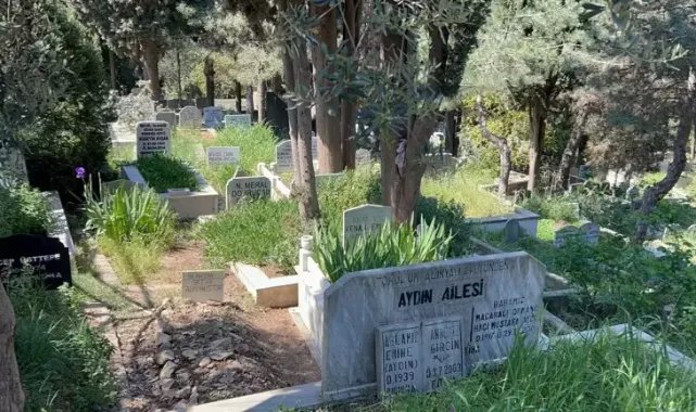 Pendik'te eski boksör arkadaşını döverek öldürdü, mezarlığa bırakıp kaçtı