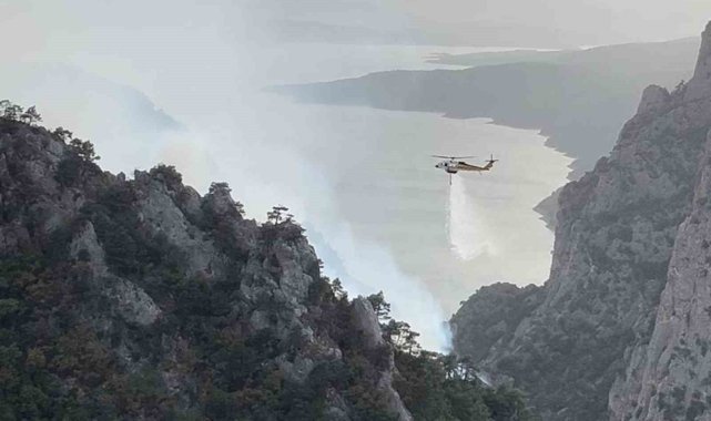 Şahinkaya Kanyonu’nda orman yangını
