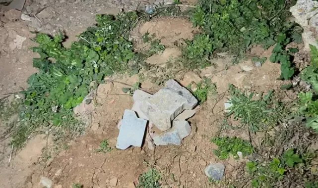 Sancaktepe’de boş arazide bebek cesedi bulundu: Anne-baba gözaltına alındı