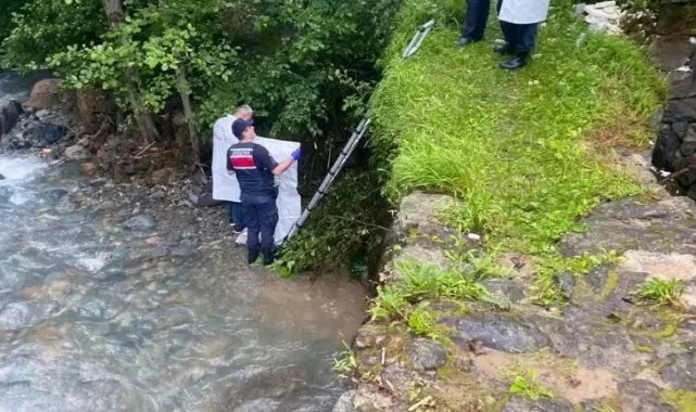 Taksiciyi öldürüp cesedini dereye atan sanığa 20,5 yıl hapis