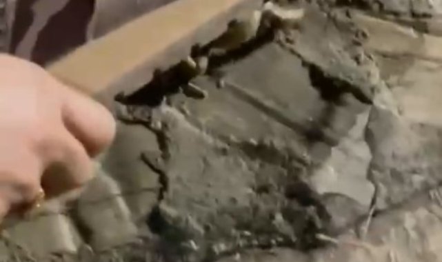 Anne terliğiyle yılanı ekmeğinden ettiler