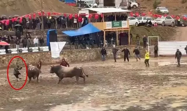 Arenada rakibinden kaçan boğa hakeme çarpıp, üzerinden geçti