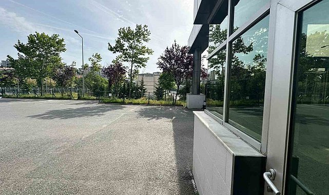 Başakşehir’de ilkokul bahçesinde beslenen köpekler 11 yaşındaki öğrenciye saldırdı