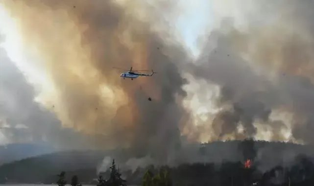 Bodrum’da PKK'nın 100 bin lira karşılığında 'ormanı yak' dediği sanığa, 2 kez ağırlaştırılmış müebbet verildi