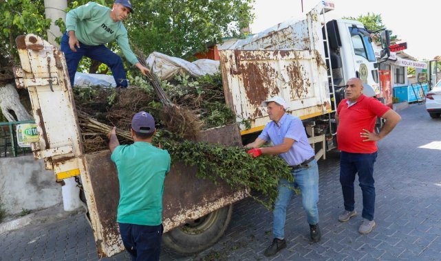 Buca Belediyesi’nden üreticiye fidan desteği