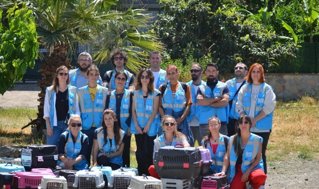 Elim Patinde” projesiyle Seferihisar’da sokak hayvanları sahipsiz değil