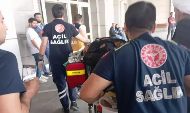 Karnındaki bebeğinden sonra anne de öldü; kardeşinin düğününde maganda kurşunuyla vurulmuştu