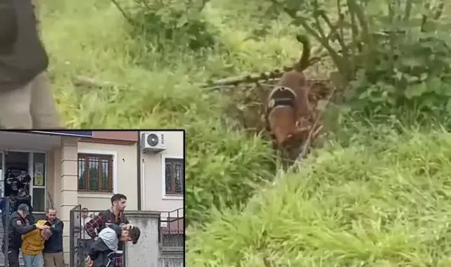 Kayıp Iraklı, fındık bahçesinde toprağa gömülü olarak ölü bulundu: 8 gözaltı