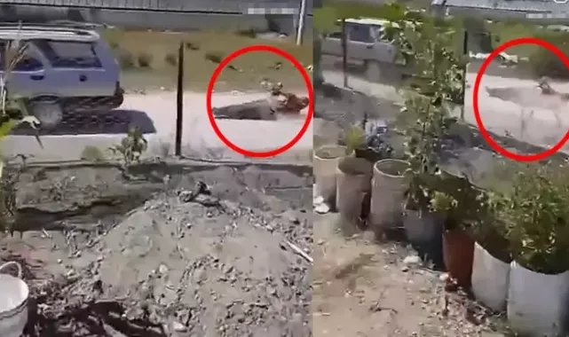 Köpek yüzünden tartıştığı kişiyi iple otomobilin arkasına bağlayıp sürükledi