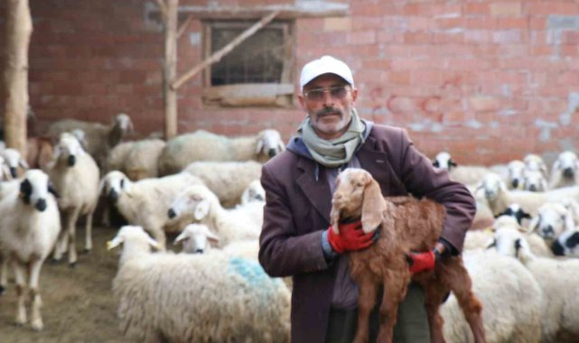 Meşhur muhtar dolandırıldı, derdini şiirle anlattı