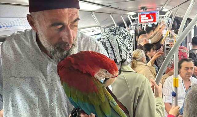 Metrobüse papağanıyla bindi, vatandaşlar şaşkına döndü
