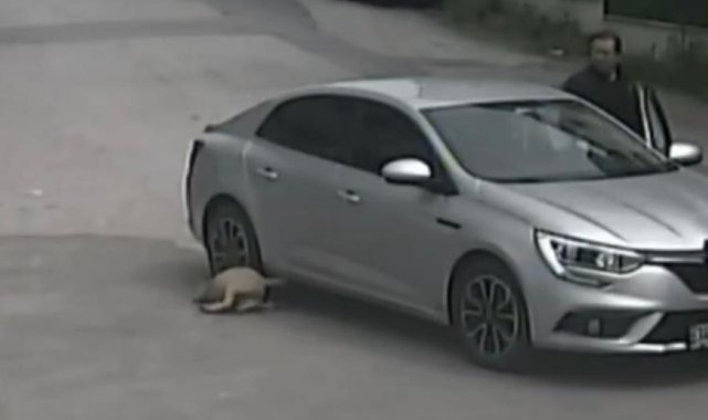 Vicdansızlığın görüntüsünü güvenlik kamerası işte böyle kaydetti