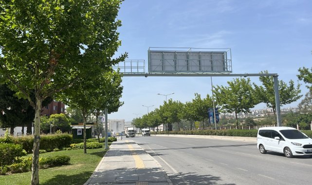 Ağaçlar taşınarak koruma altına alınacak