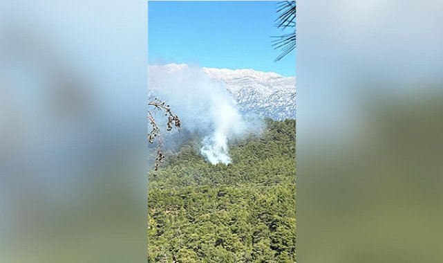 Antalya'da orman yangını