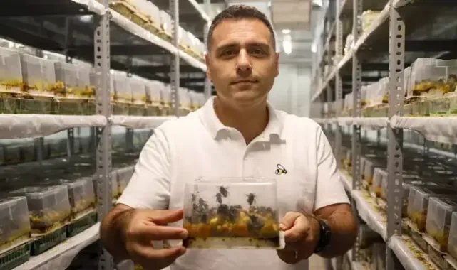 Antalya'dan 25 ülkeye 'bombus arısı’ ihracatı