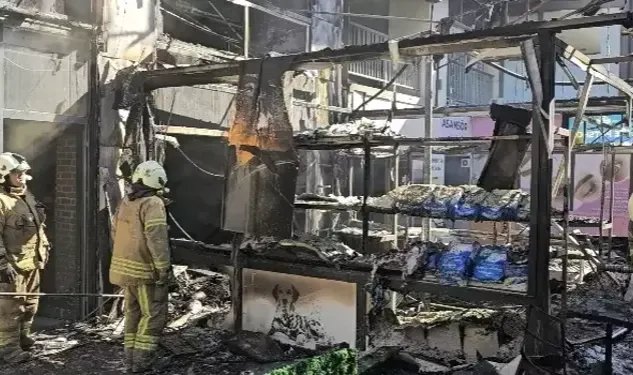 Avcılar'da pet shopta yangın