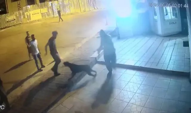 Bağcılar'da güvenlik görevlisi ile köpeğine saldıran şüpheliler yakalandı