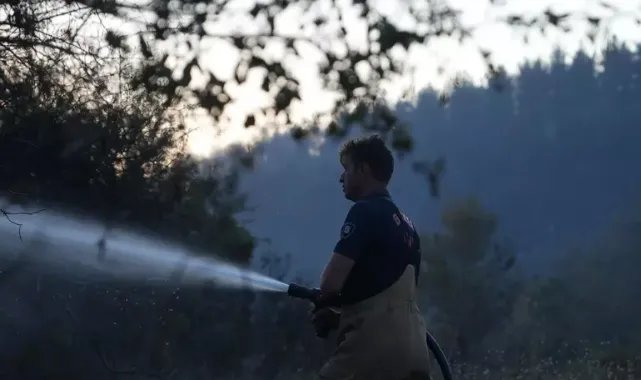 Balıkesir'deki yangında 20 hektar tarım arazisi ile 60 hektar orman zarar gördü