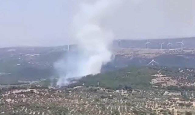 Bergama'da orman yangını