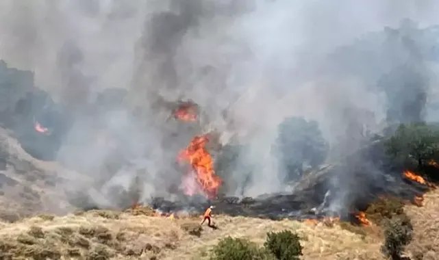 Bingöl’de iki ilçede orman yangını