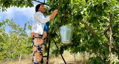 Bornova Belediyesi'nden çiftçiye gübre desteği