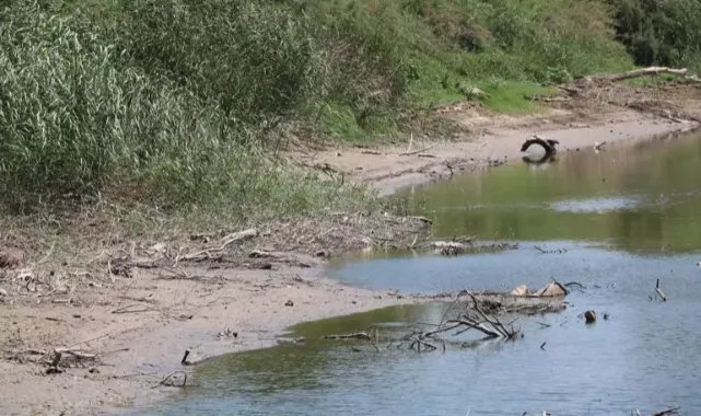 Büyük Menderes'in bir bölümü kurudu; kirlilik arttı