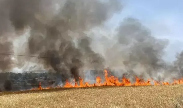 Çanakkale'de çıkan anız yangını kontrol altına alındı