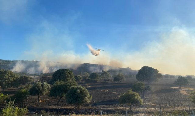 Çanakkale'nin ciğerleri yandı