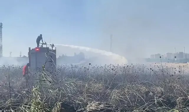 Diyarbakır’da 1,5 ayda, 5 bin 146 dönüm ekili buğday ve arpa yandı