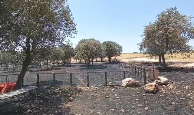 Diyarbakır ve Mardin’deki yangının çıkış sebebine ilişkin her ihtimal araştırılıyor