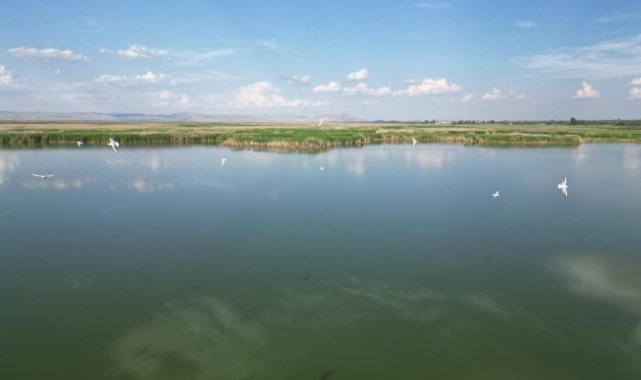 Eber Gölü’nde ’küçülme’ tehlikesi baş gösterdi