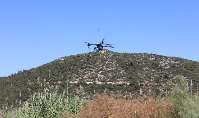 Efes Selçuk'ta ilaçlama çalışmaları
