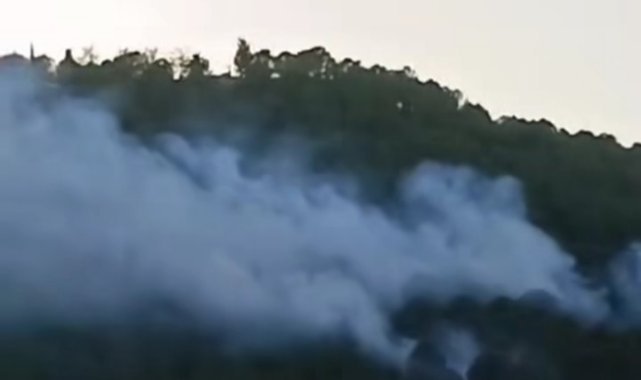 İzmir'de ormanlık alanda çıkan yangın kontrol altında