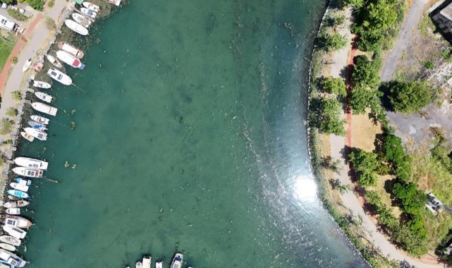 Kirlilik nedeniyle Menekşe deresi yosun tutmaya başladı