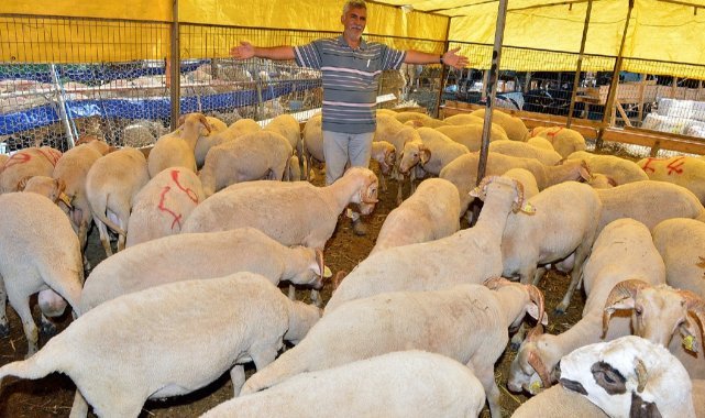 Kurban Bayramı için bağış kampanyası başladı