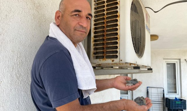 Motoruna yuva yapan kumruları rahatsız etmemek için 40 derece sıcakta evinde klima çalıştırmıyor